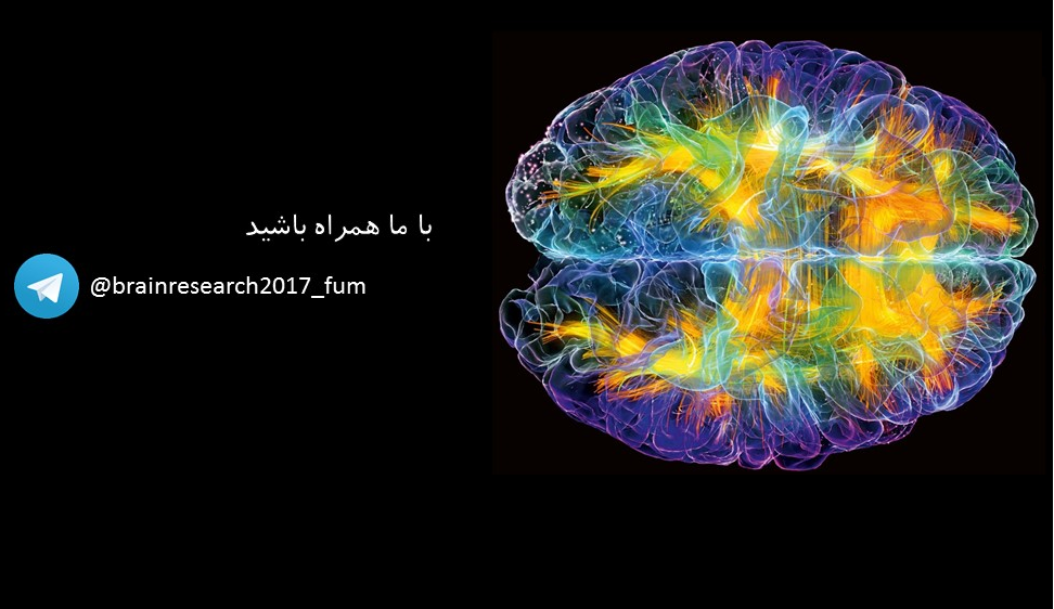 اسلاید 2
